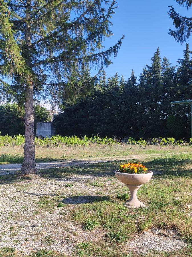 Maison A La Campagne Bouchet  외부 사진